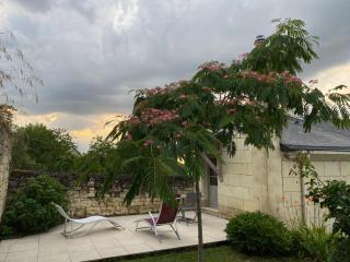 Logis huit clos calme et romantique proche Saumur - Le Coudray-Macouard - 4