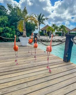 1-Bed self contained Apartment in Noord with Pool - 1