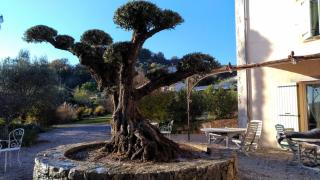 L'Escale Provençale - Tourrettes - 9