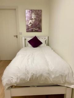 Modern family home - 4