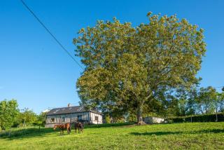 Afbeelding van de locatie