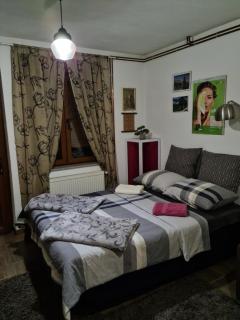 Studio Apartman Ana Doboj - Doboj - 9