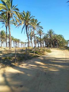 Flamingo apartment - 3