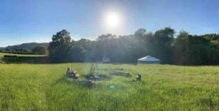 Wilding Yurt Stay - 9