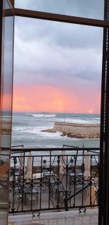 Mowita - Civitavecchia - 8