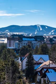 Blue Mataki - Zlatibor - 0