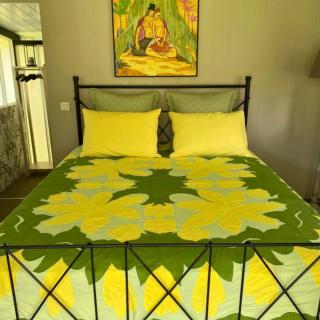 TAHITI - Cocoon Mataiea B&B - - 4