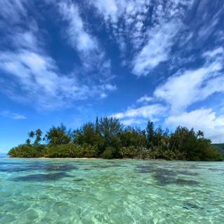 TAHITI - Cocoon Mataiea B&B - - 9