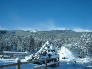 Private 313 Acre retreat/lakes/direct forest entry - 8