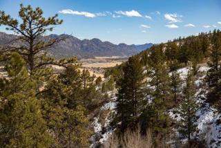 Private 313 Acre retreat/lakes/direct forest entry - 3