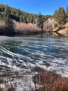 Private 313 Acre retreat/lakes/direct forest entry - 2