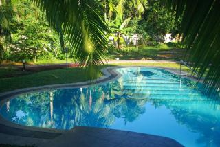 King Coconut Lodge - Habaraduwa - 1