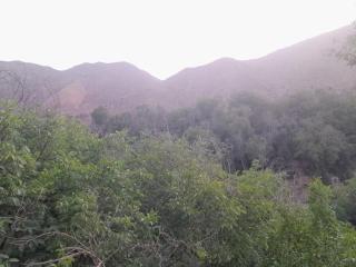 RISA FAMILY - Taroudant - 2