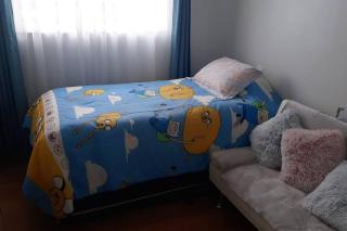 Departamento 2 Dormitorios 5 personas, excelente ubicacion - Temuco - 2