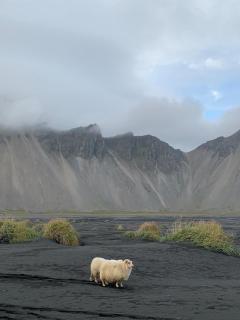 Seljavellir Guesthouse - Höfn - 1