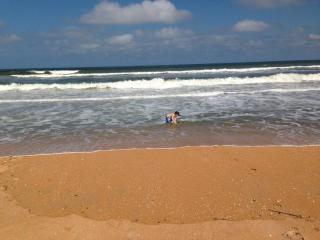 Beach, Oceanfront, Flagler Beach Rental - 2