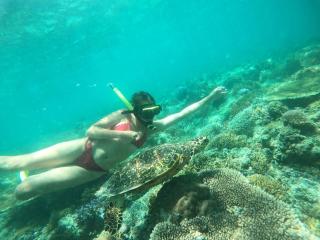 Fantastic Cottages - Gili Meno - 8