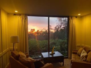 Private and Quiet Guest Apt in Hawaii Cloud Forest - Kailua-Kona - 1