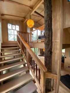 Romantic Cabin Treehouse in Hawaii Cloud Forest - Kailua-Kona - 6