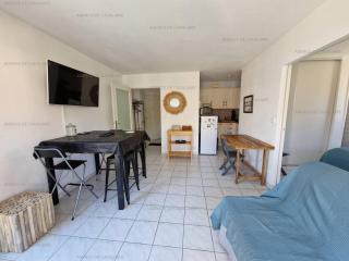 Beau T2 en front de mer avec clim, parking, animaux admis - FR-1-100-327 - Cavalaire-sur-Mer - 9