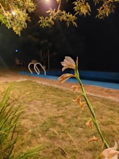 La escondida - 3