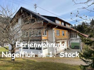 Nagelfluh - Blaichach - 3