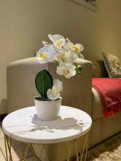 Thorntree Self Catering Apartment, Witbank - 0