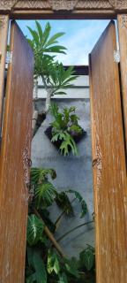 Avocado House - Private House With Garden View - 5