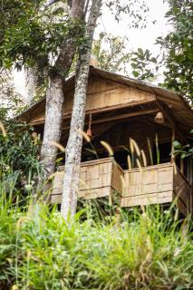 Fab - Bamboo Hut with Open Shower - Munnar - 3
