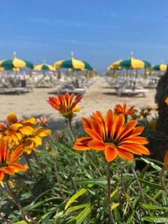 Rimini Bay Suites&Residence - Rímini - 5