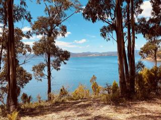 Hidden on Huon - Glendevie - 7