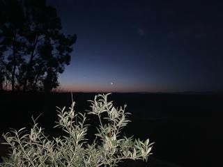 Le Paradis Saint Frajou, very beautiful Villa 200m2 swimming pool and style - 3