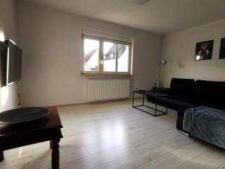 3 Zimmer Ferienwohnung mit eigenem Garten Trossingen - Trossingen - 5