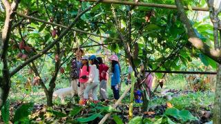 Nui Tuong Village Stay - Tân Phú - 3