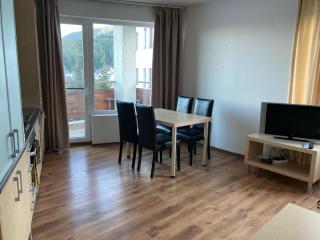 Apartment 26А Detelina Residence - Bansko - 4