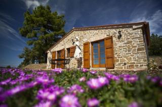 Tenuta Angelici Winery Casa Contea with pool and panoramic pool Cortona - Terontola - 7