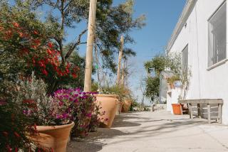 Peñalosa - Pruna - 2