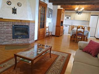 Casa Rural ERTEIKOA - Selva de Irati - Aria - 4
