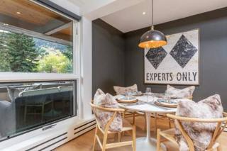 Aspen Core Renovated 2 BR, 2 BA with AC - 7