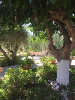 Casa Nostos - Tsilivi - 8