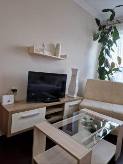 Apartment Marina - Aranđelovac - 5