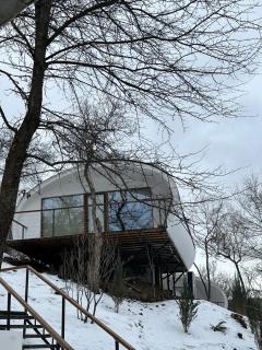 Apple Resort - 6