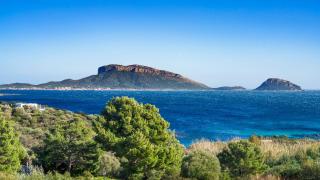 Welcomely - Essenza Di Sardegna - Marinella - 6