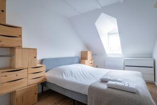 Le Schoepflin - Coeur de Strasbourg - Vue toits - 8