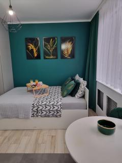 13 Kawalerka Szmaragdowa - 1