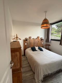 La Perle des Dunes- Front de mer- Accès direct plage - 4