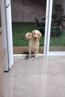 Casa com Piscina e ótimo custo benefício!! - Brotas - 4