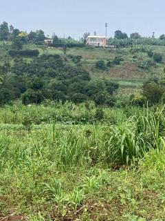 Your Oasis of Serenity Awaits - Masaka - 4