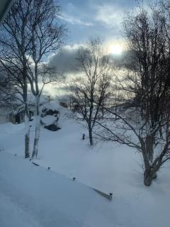 Lofoten- Feriehus Fjøsen - 2