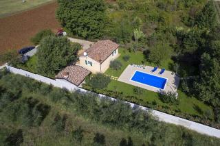 Villa Oliva - Mušalež - 8
